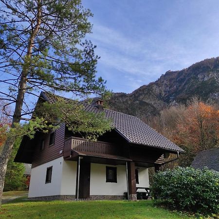 Apartmaji Zupancic Bohinj Exterior photo